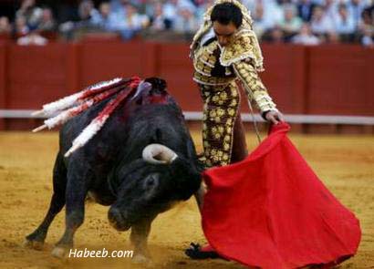 Matador Bullfighting